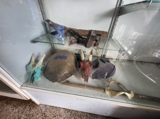 Turtle Shell, 2 Goat Skulls, Amethyst Rock, Vtg