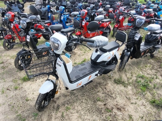 Two-wheeled Electric Vehicle