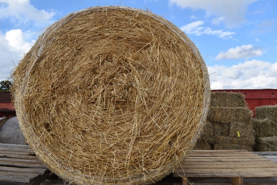 "2021  4' x 5' Net Wrapped Straw Round Bales, 2021  4' x 5' Net Wrapped Str