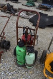 Portable air tank sprayer