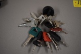 KEY RING SET, SEE PICTURE FOR MAKES & MODEL FITS, JD-TOYOTA-YANMAR-HYSTER-C