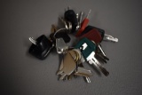 KEY RING SET, SEE PICTURE FOR MAKES & MODEL FITS, JD-TOYOTA-YANMAR-HYSTER-C