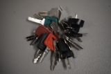 KEY RING SET, SEE PICTURE FOR MAKES & MODEL FITS, JD-TOYOTA-YANMAR-HYSTER-C