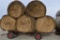 HAY 4X5 ROUND BALES 12430 4X5 GRASS HAY Round bales AT AUCTION FACILITY