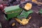 JD LX176, riding mower,