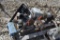 WEBER SRV60 20044