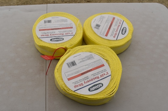 AGWAY 2IN. X 20FT. RECOVERY STRAPS 20171