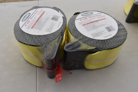 AGWAY 4IN. X 30FT. WINCH STRAP 20166