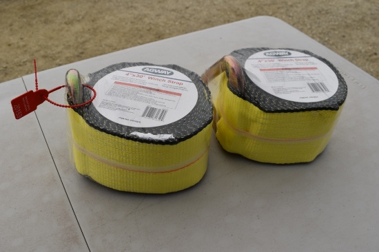 AGWAY 4IN. X 30FT. WINCH STRAP 20159