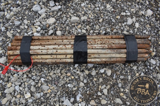 30" FORM PINS 25543