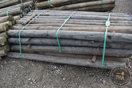 TREATED FENCE POST 25843