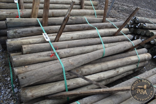 TREATED FENCE POST 25847
