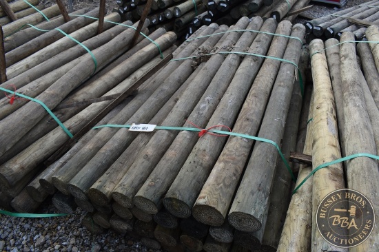 TREATED FENCE POST 25848