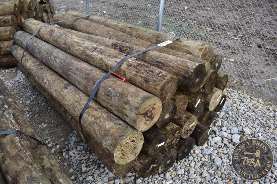 TREATED FENCE POST 25853