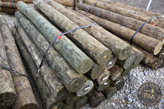 TREATED FENCE POST 25854