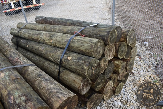 TREATED FENCE POST 25856