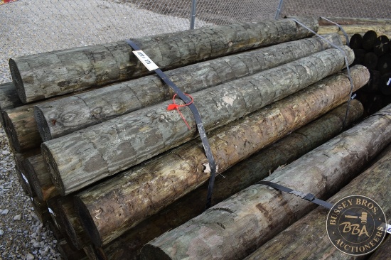 TREATED FENCE POST 25858