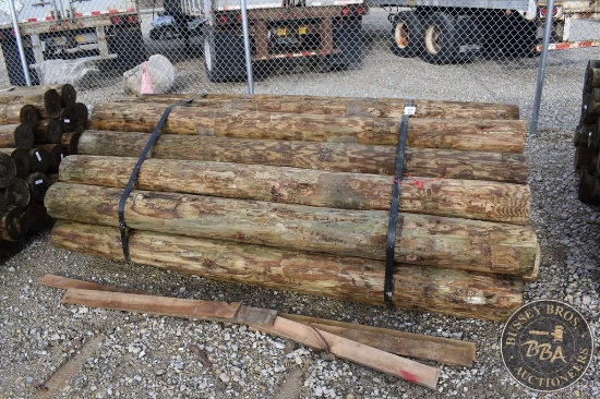 TREATED FENCE POST 25860