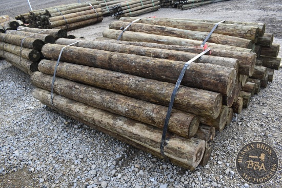 TREATED FENCE POST 25862