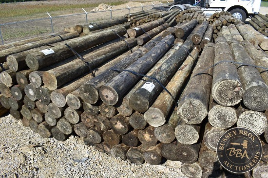 TREATED FENCE POST 29409