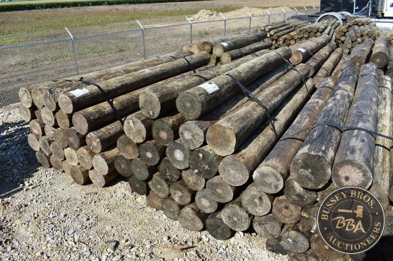 TREATED FENCE POST 29408