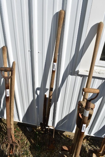 Lot of Assorted Manure Forks