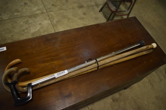 Assorted Lot of Cane