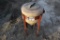 POLY CHEMICAL MIX TANK 5583