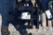 Grapple, Root FUTURE EXCAVATOR GRAPPLE 35106
