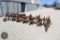 BMB ROW CULTIVATOR 33578