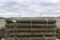 TREATED FENCE POST 33900