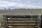 TREATED FENCE POST 33913