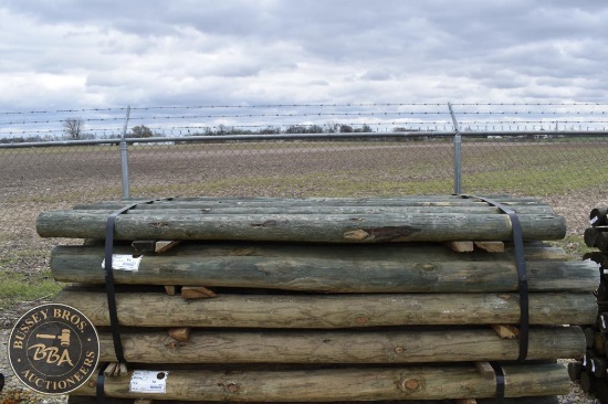 TREATED FENCE POST 33913