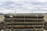 TREATED FENCE POST 33900
