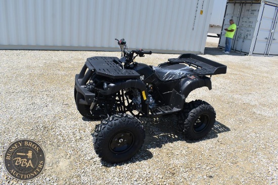 2022 TAOTAO RHINO 250 37237