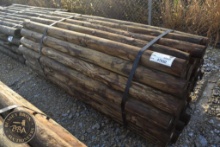TREATED POST 47030