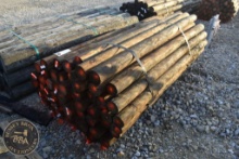TREATED POST 47021