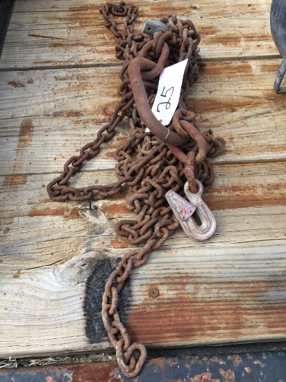 lift sling chain with safety hooks