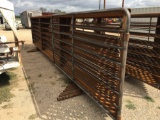 New 24' Cattle Panels with one 10' gate Sell by ten times the money, must take all