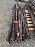 Bundle of 5' Cedar Staves