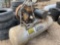 Campbell Hausfeld Vertical Air Compressor Seller States Working When Removed from Service