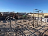 2 Stall Pen Consisting of: 8 - 12' 5 Rail Panels 2 - 12' 5 Rail Panels with 4' Gate in Each