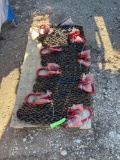 8 - 7ft Double Leg Lifting Chains Sold as one lot