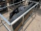 84'' Skid Steer 6 Way Dozer Blade