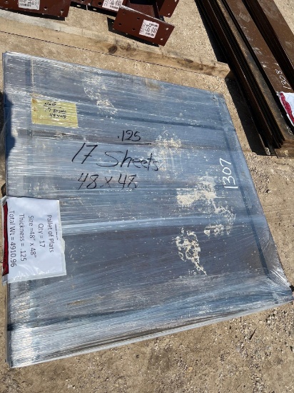 17 Sheets 48'' x 48'' .125 Steel SOLD AS ONE LOT
