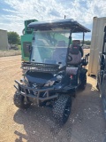 IRGC 80 Golf Cart with Rear Seat Unused