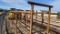24' Freestanding Cattle Alley Way