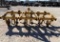 Hay King Aerator 6 Shank - Good