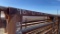 Set of 10 - 24' Freestanding Cattle Panels 1 Panel has 12' Gate SOLD BY THE PANEL TEN TIMES THE