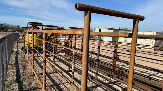 24' Freestanding Cattle Alley Way